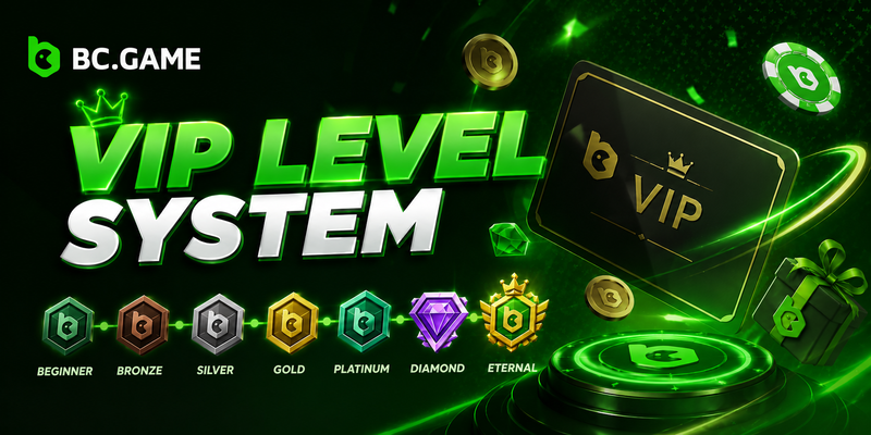 VIP Level System