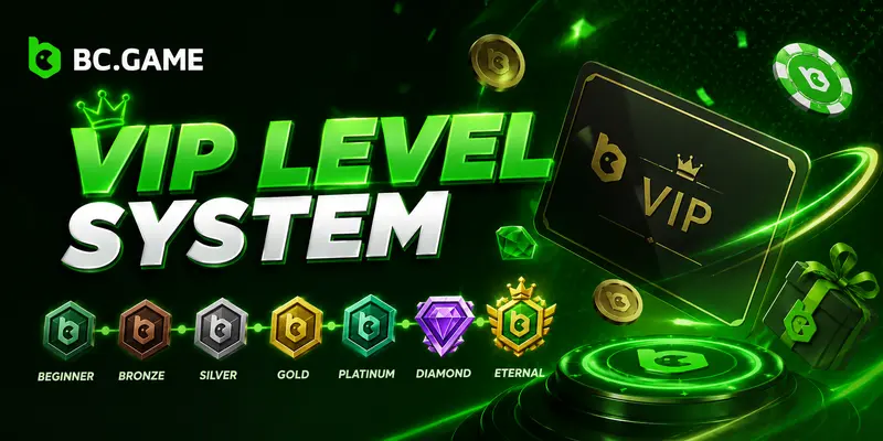 VIP Level System
