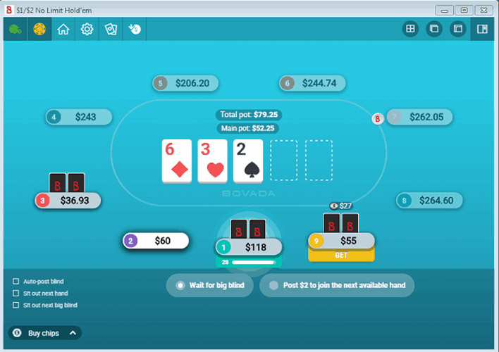 Bovada Poker 9 Max Table