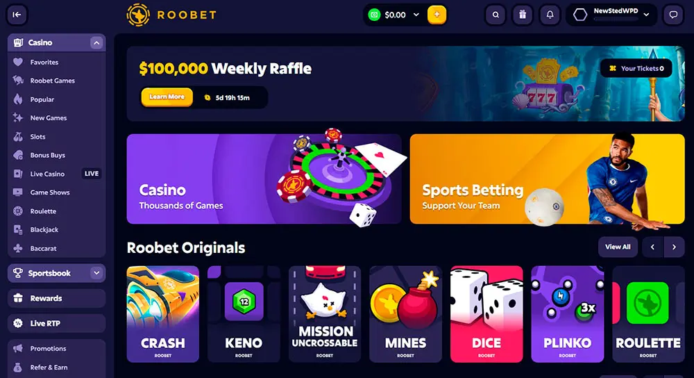 Roobet User Experience Interface