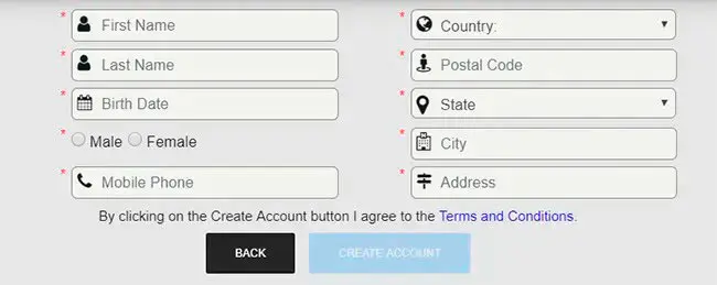 Poker King: личная информация в профиле