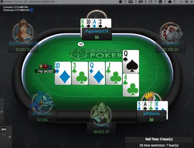 Black Chip Poker New Plo Table