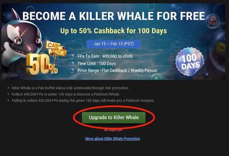 Killer Whale GgPoker 1 En