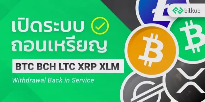 Bitkub is the most popular cryptocurrency exchange in Thailand