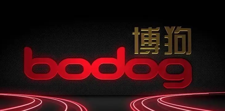 Bodog