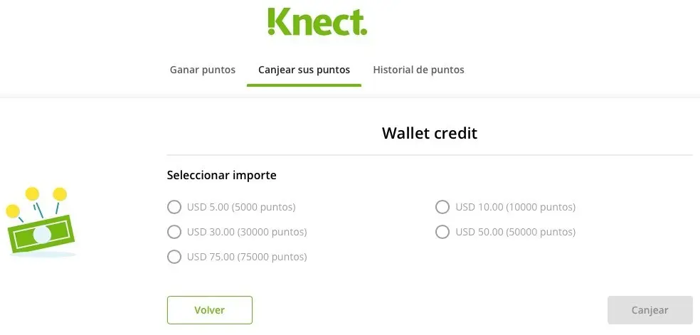 Neteller Knect