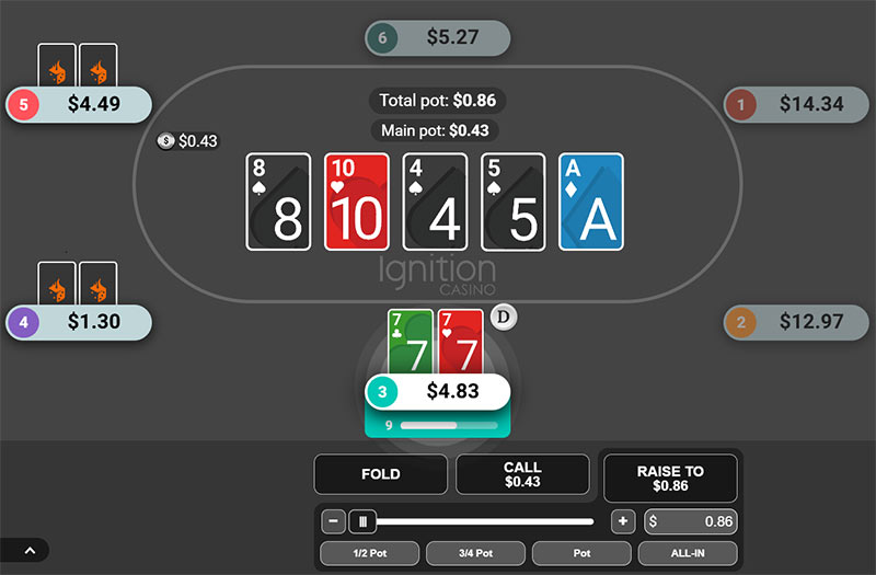 Ignition Poker software