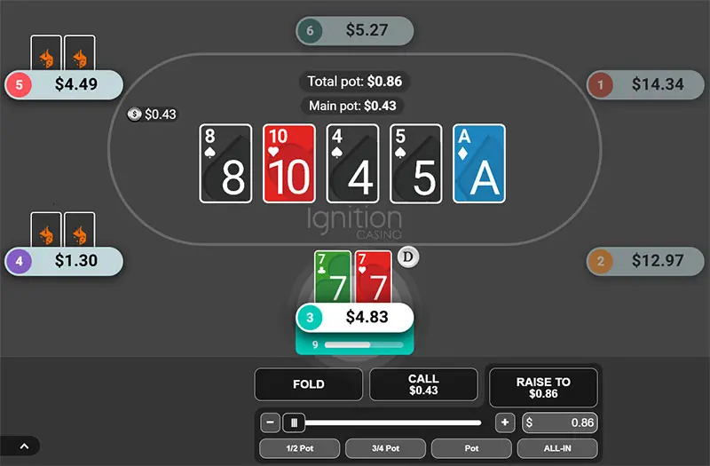 Ignition Poker software