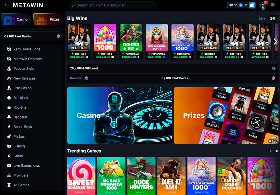 Metawin Casino Usability and Interface