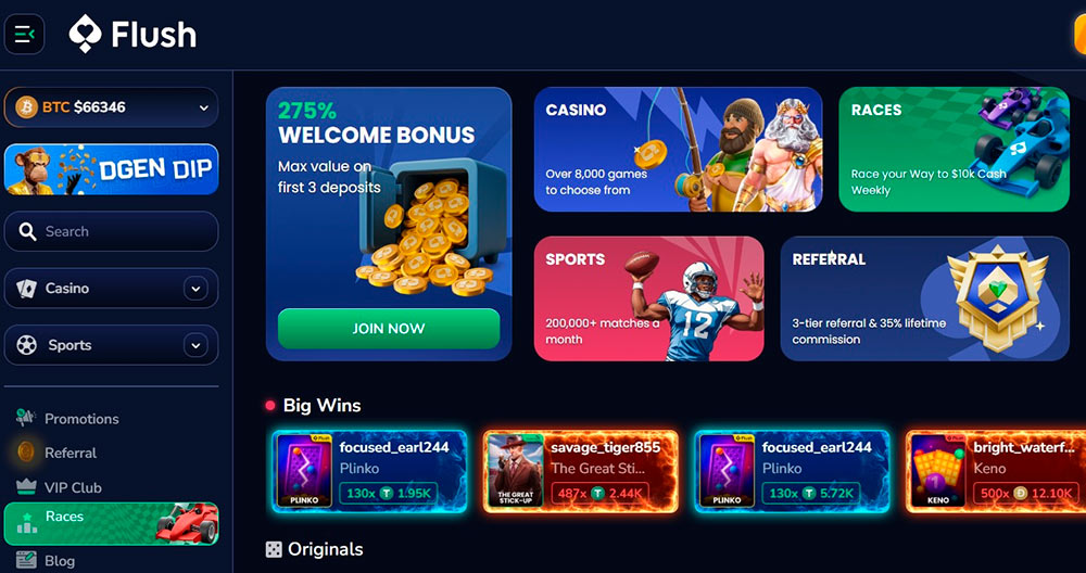 Flush Casino Interface