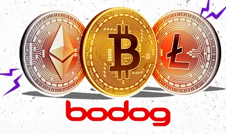 Metodos De Deposito Retiro En Bodog Poker  Latinoamerica