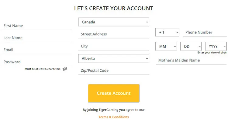 TigerGaming Form