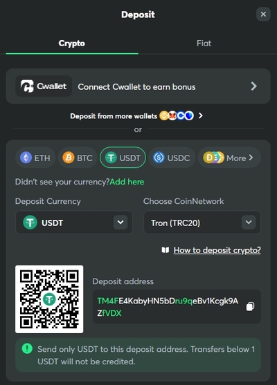 Bcgame Casino Deposit Usdt Trc20