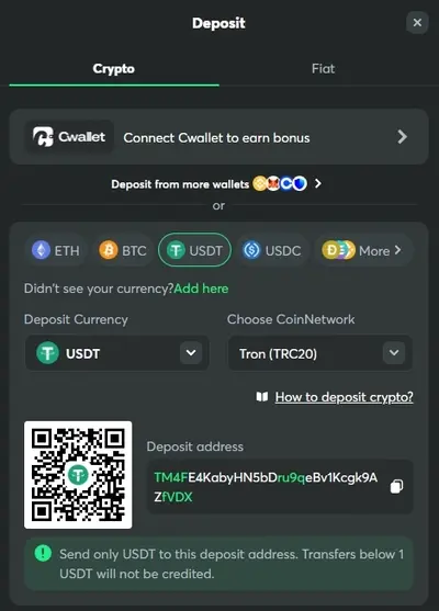 Bcgame Casino Deposit Usdt Trc20