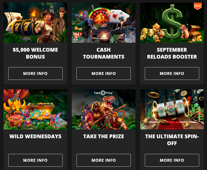 Wild Casino Promo Page