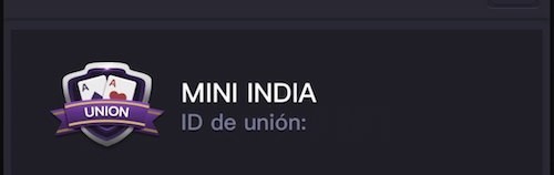Mini India unión