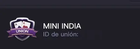 Mini India unión